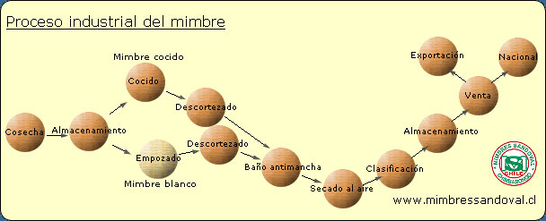 Proceso Industrial del Mimbre